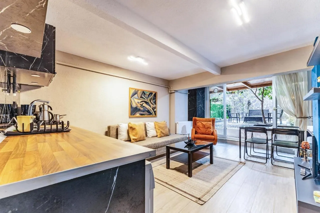 Stylish Fully Furnished Modern Flat In Kadikoey Apartment Istanbul 0*,